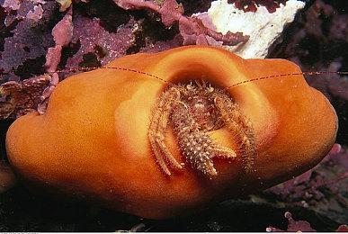 暴雪游戏国服玩家数据去哪儿了 大家在乎吗？